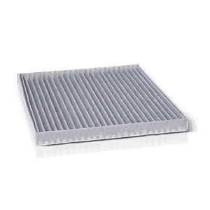 Φίλτρο Καμπίνας BSG 65-145-018 (K1090)