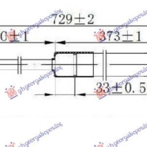 ΑΜΟΡΤΙΣΕΡ ΚΑΠΟ ΕΜΠΡΟΣ (730L-250N) VW GOLF V 04-08 036108205